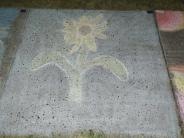 sidewalk chalk art yellow flower has white outline and blue background